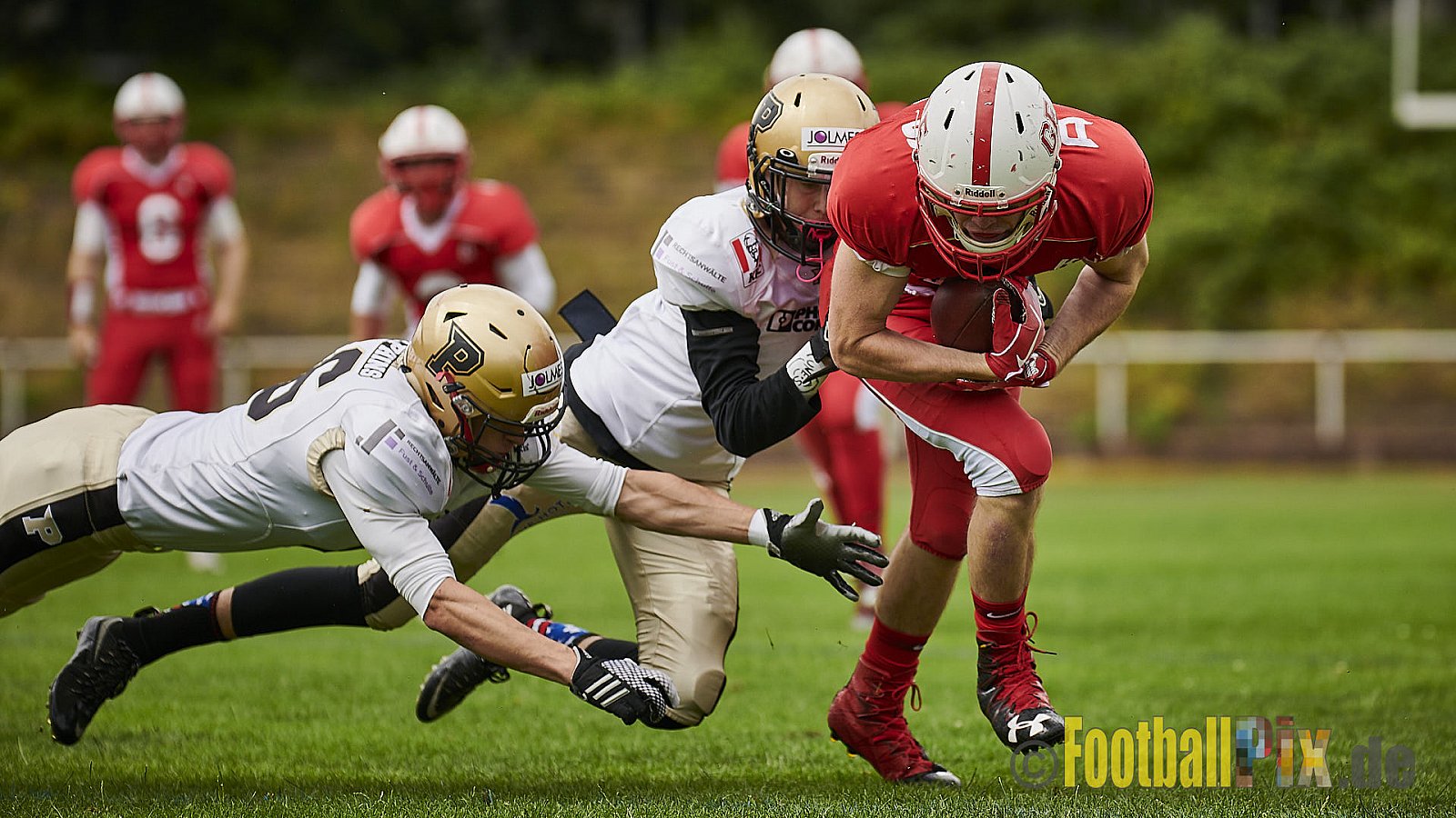 Gelsenkirchen Devils vs. Paderborn Dolphins - GelsenkirchenDevilsVsPaderbornDolphins