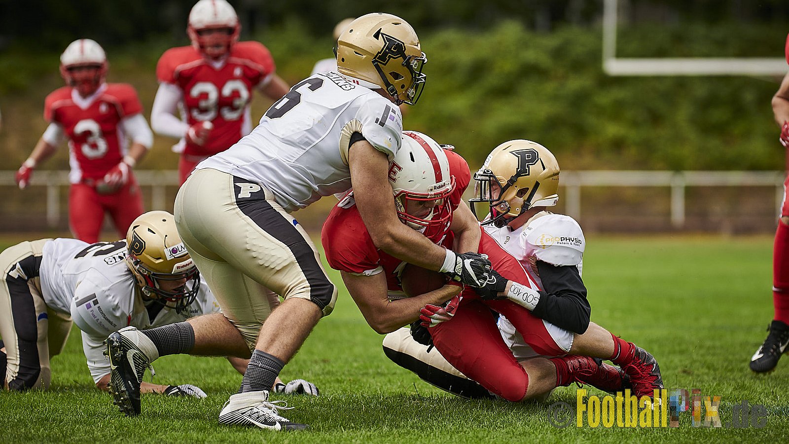 Gelsenkirchen Devils vs. Paderborn Dolphins - GelsenkirchenDevilsVsPaderbornDolphins