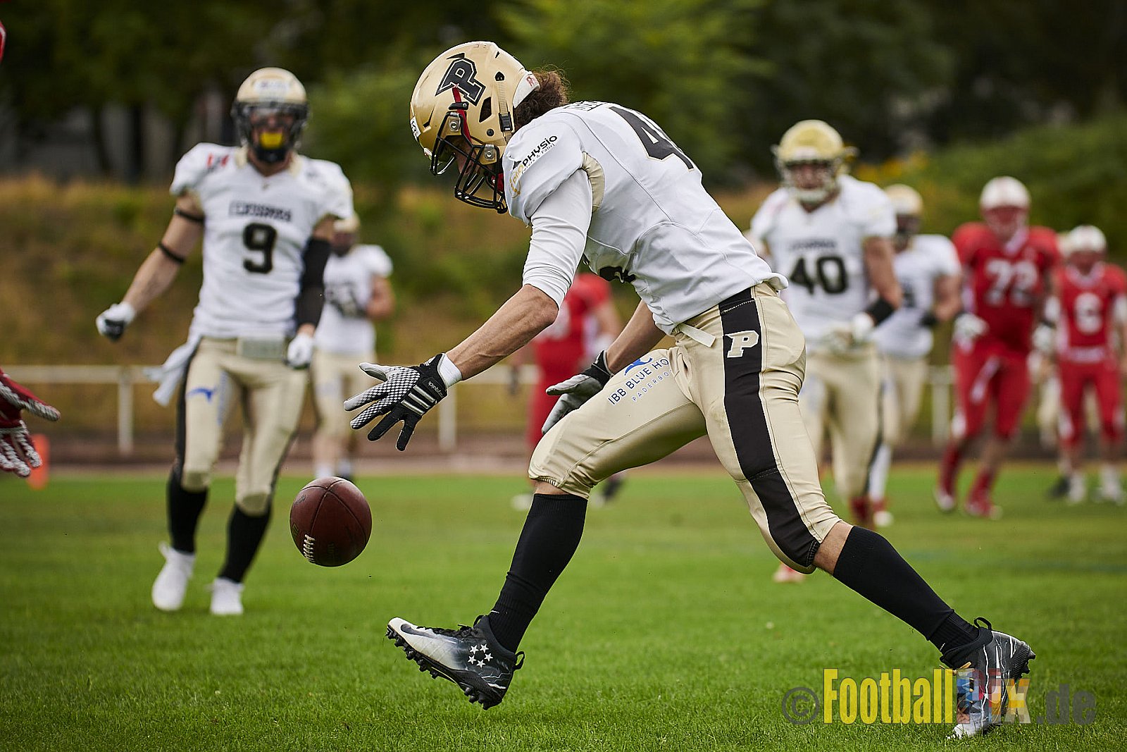 Gelsenkirchen Devils vs. Paderborn Dolphins - GelsenkirchenDevilsVsPaderbornDolphins