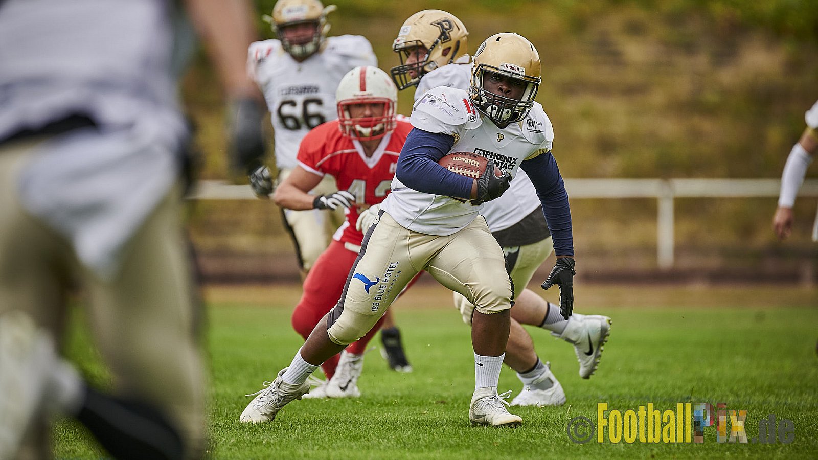 Gelsenkirchen Devils vs. Paderborn Dolphins - GelsenkirchenDevilsVsPaderbornDolphins