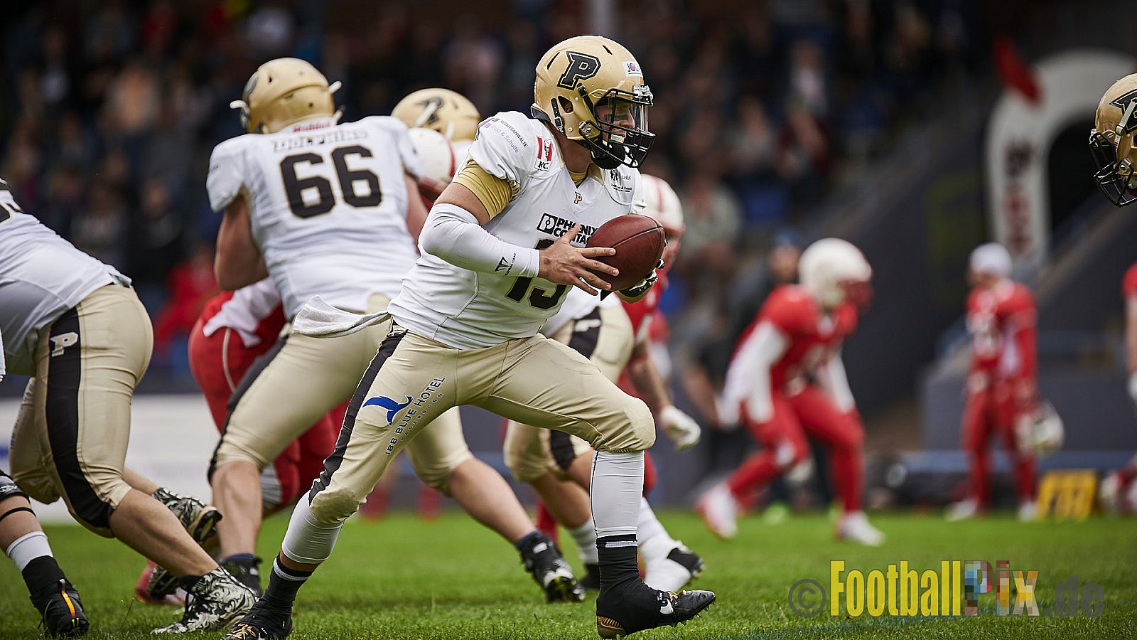Gelsenkirchen Devils vs. Paderborn Dolphins - GelsenkirchenDevilsVsPaderbornDolphins