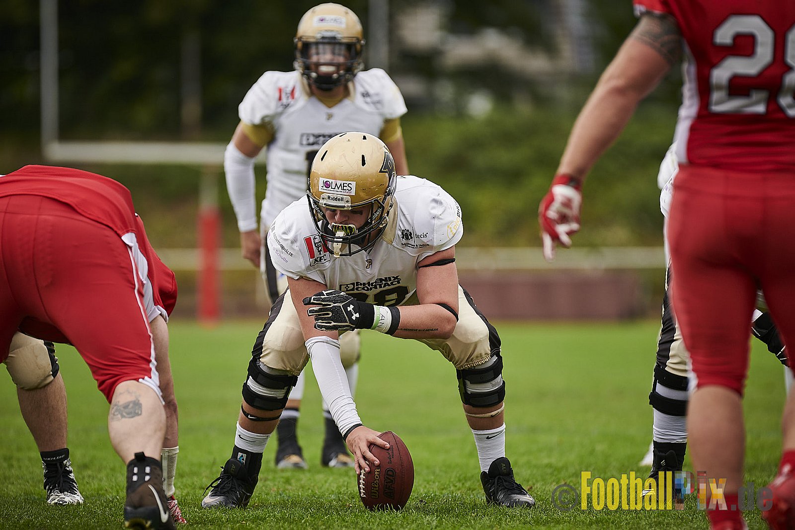 Gelsenkirchen Devils vs. Paderborn Dolphins - GelsenkirchenDevilsVsPaderbornDolphins