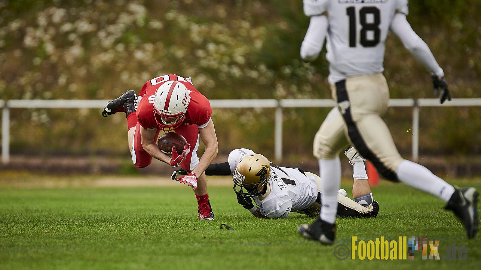 Gelsenkirchen Devils vs. Paderborn Dolphins - GelsenkirchenDevilsVsPaderbornDolphins