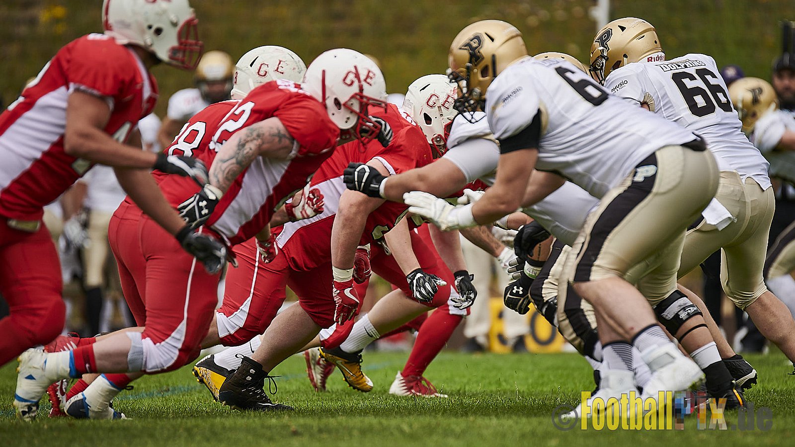 Gelsenkirchen Devils vs. Paderborn Dolphins - GelsenkirchenDevilsVsPaderbornDolphins