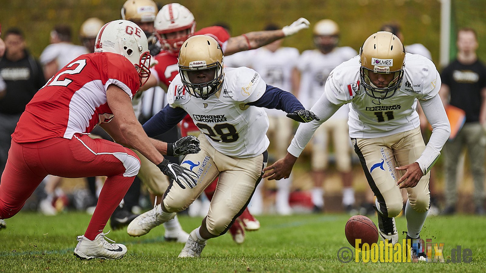 Gelsenkirchen Devils vs. Paderborn Dolphins - GelsenkirchenDevilsVsPaderbornDolphins
