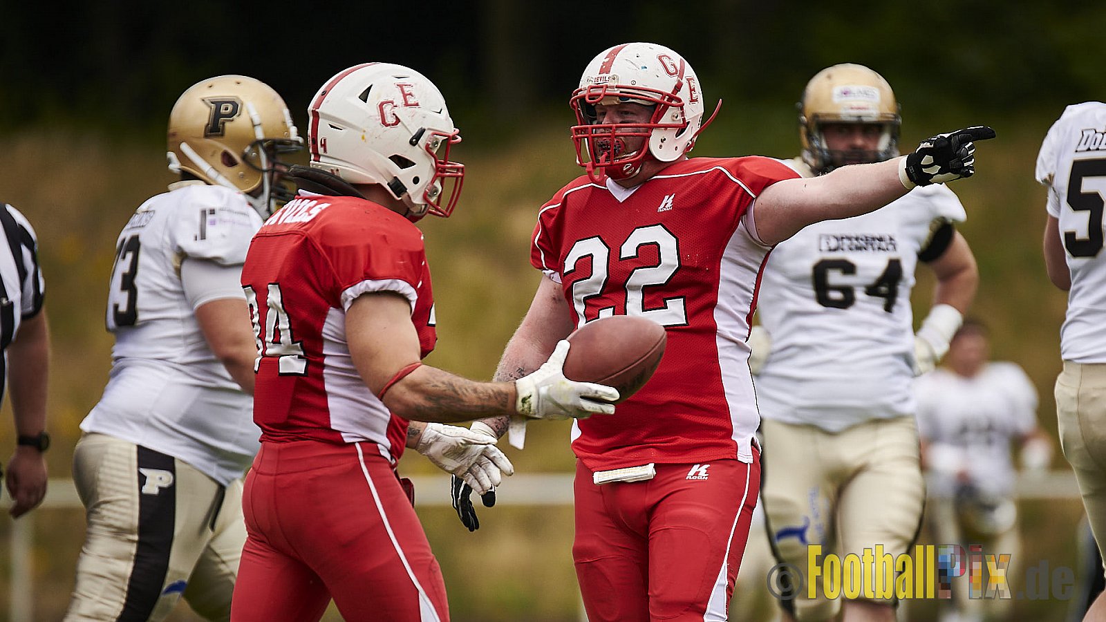Gelsenkirchen Devils vs. Paderborn Dolphins - GelsenkirchenDevilsVsPaderbornDolphins