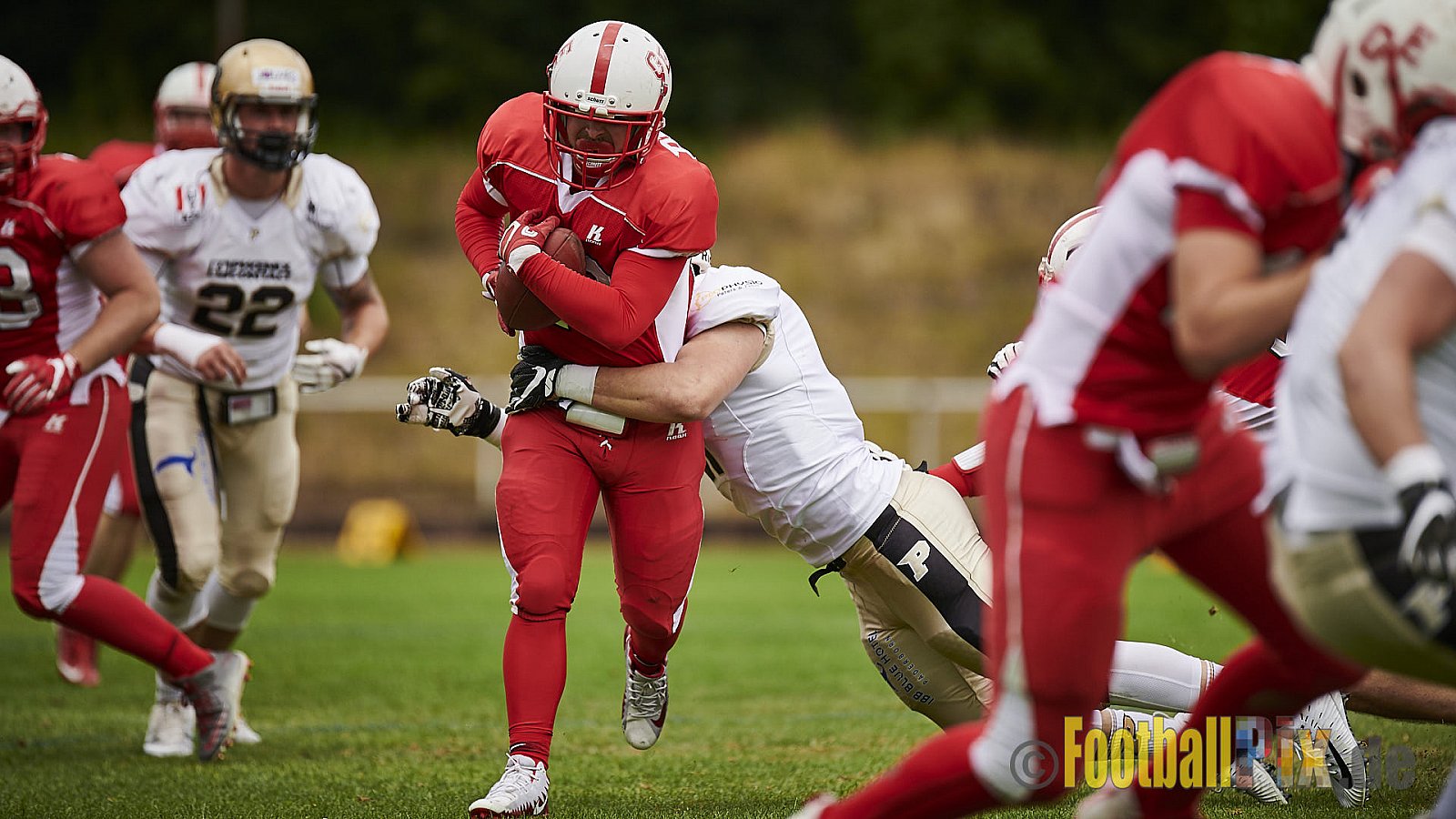 Gelsenkirchen Devils vs. Paderborn Dolphins - GelsenkirchenDevilsVsPaderbornDolphins
