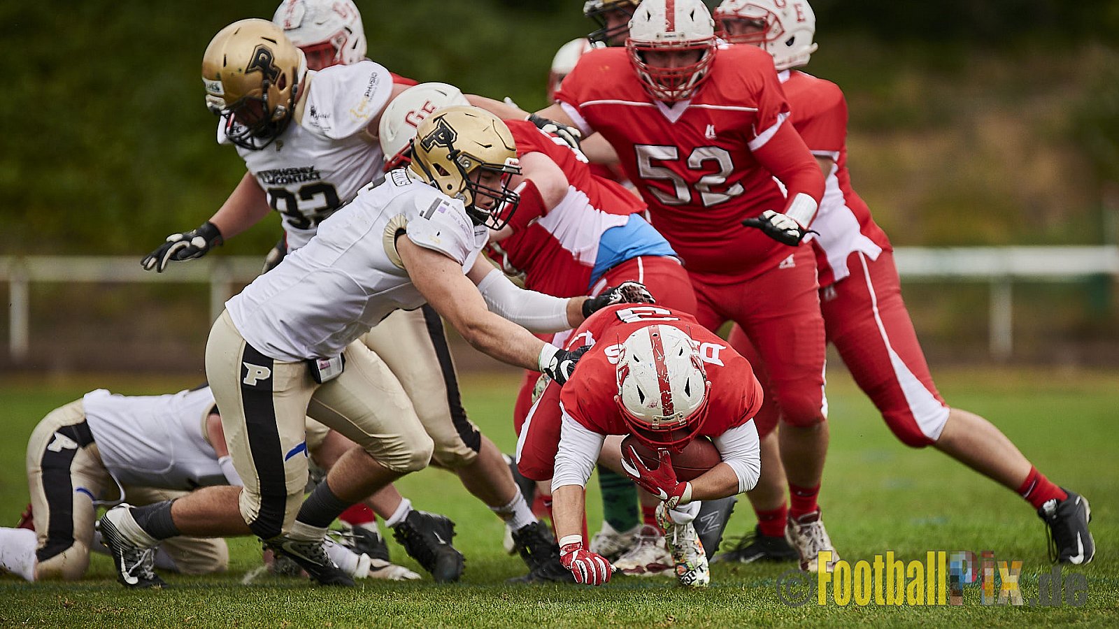 Gelsenkirchen Devils vs. Paderborn Dolphins - GelsenkirchenDevilsVsPaderbornDolphins