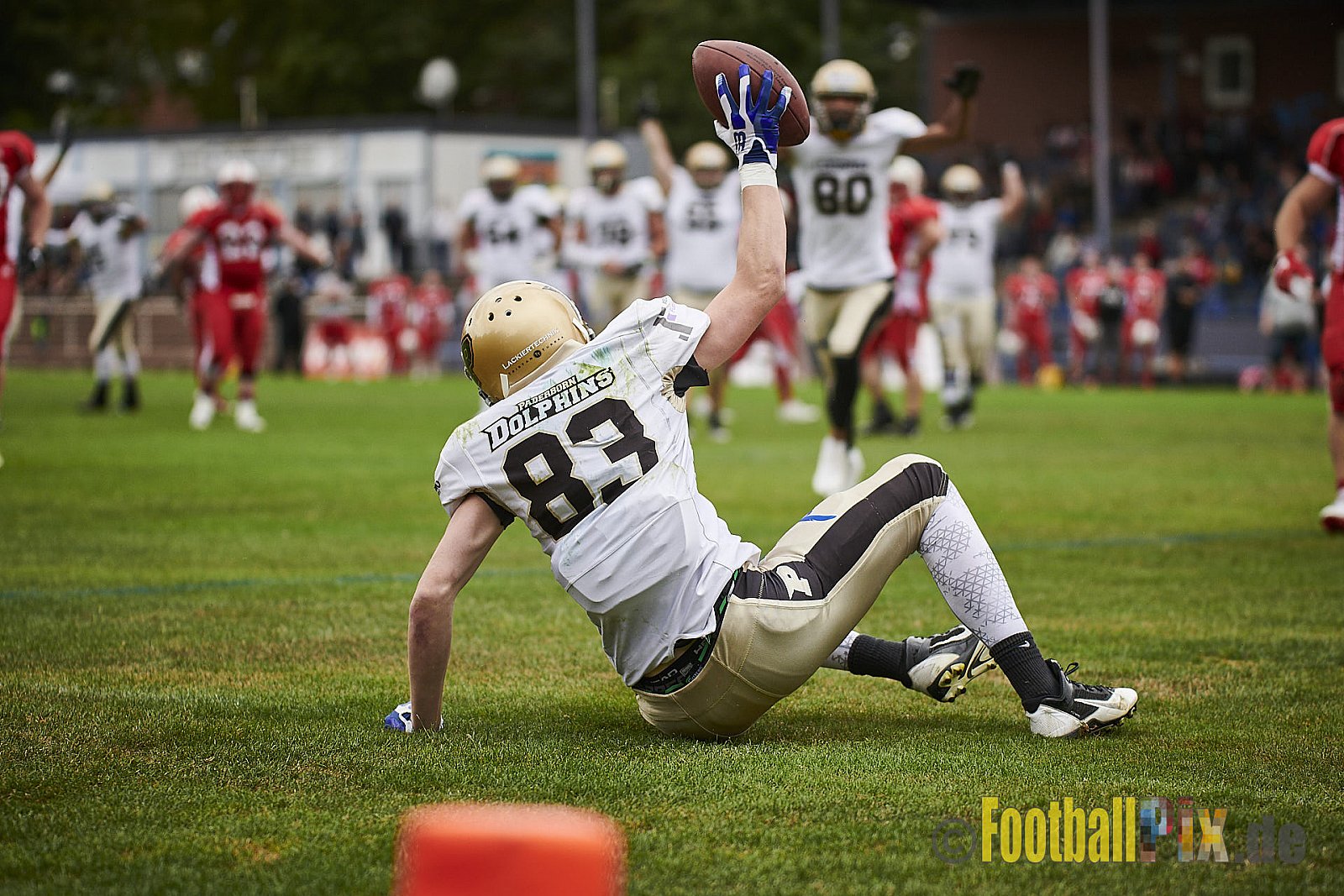 Gelsenkirchen Devils vs. Paderborn Dolphins - GelsenkirchenDevilsVsPaderbornDolphins