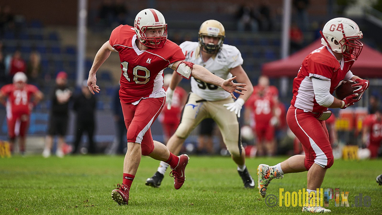 Gelsenkirchen Devils vs. Paderborn Dolphins - GelsenkirchenDevilsVsPaderbornDolphins
