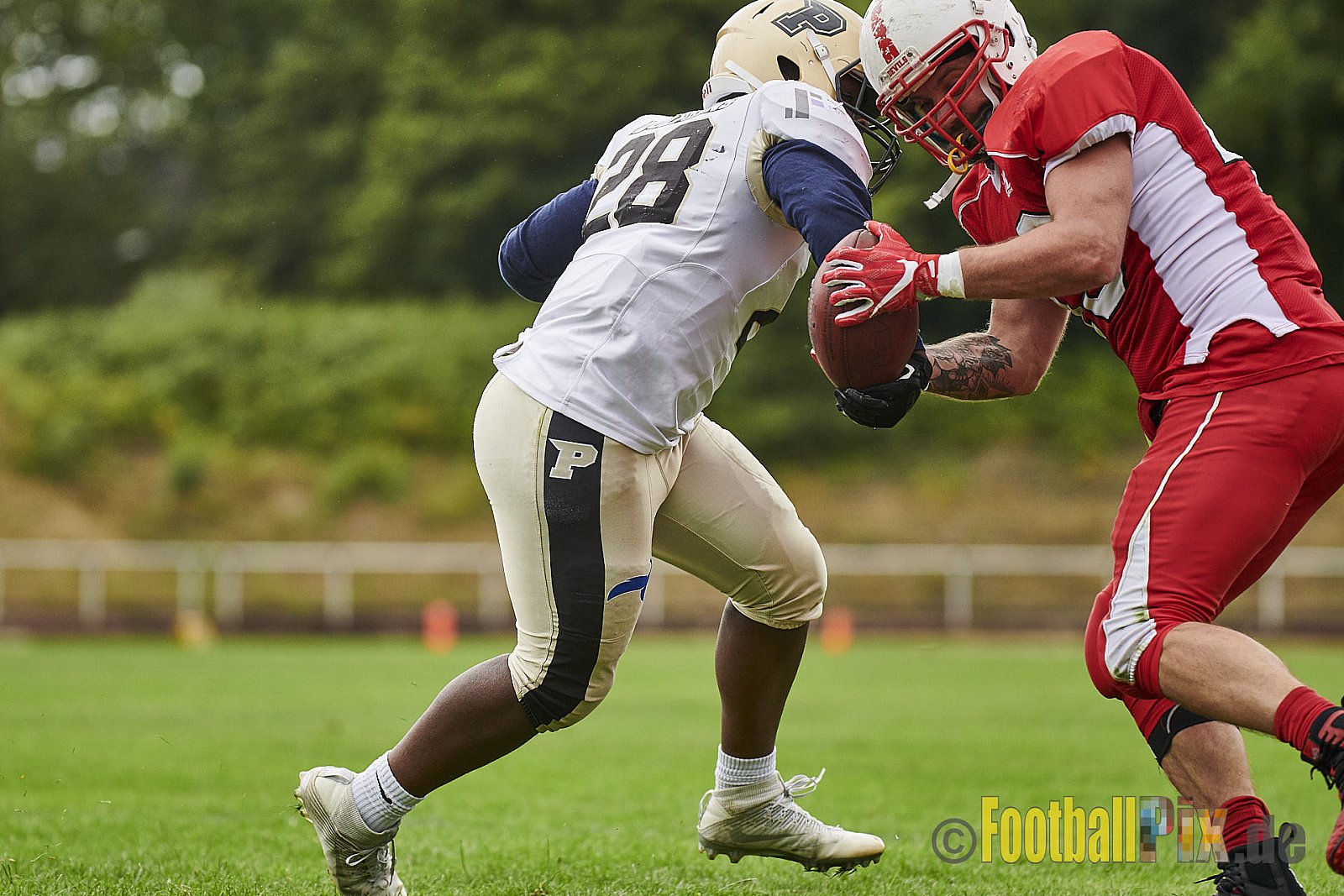 Gelsenkirchen Devils vs. Paderborn Dolphins - GelsenkirchenDevilsVsPaderbornDolphins