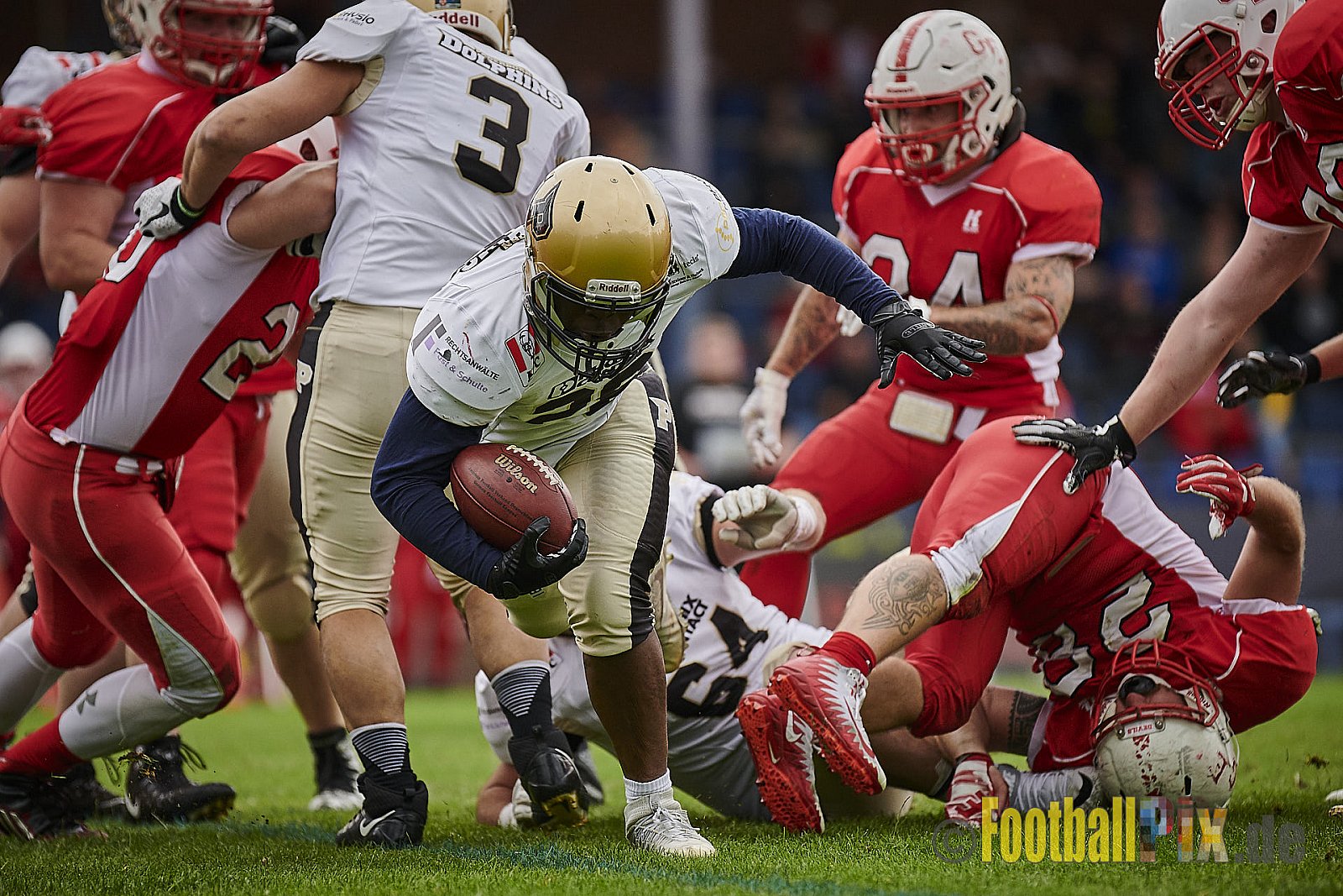 Gelsenkirchen Devils vs. Paderborn Dolphins - GelsenkirchenDevilsVsPaderbornDolphins