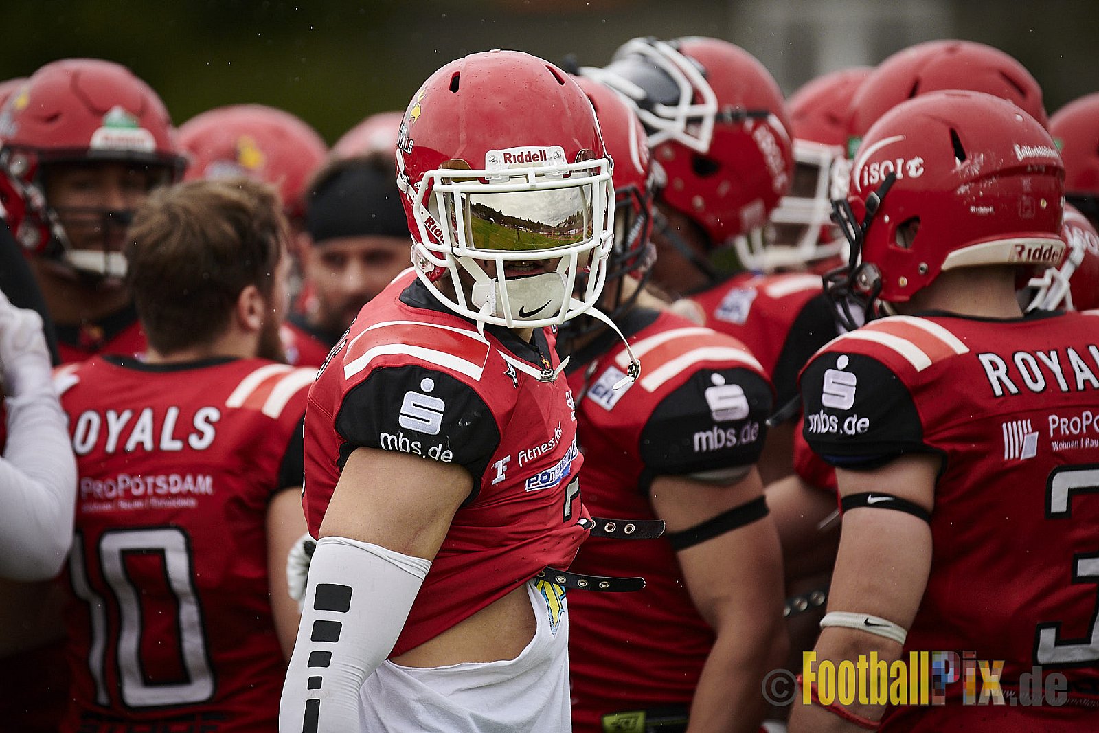 Düsseldorf Panther vs. Potsdam Royals - DPantherVsPotsdamRoyals