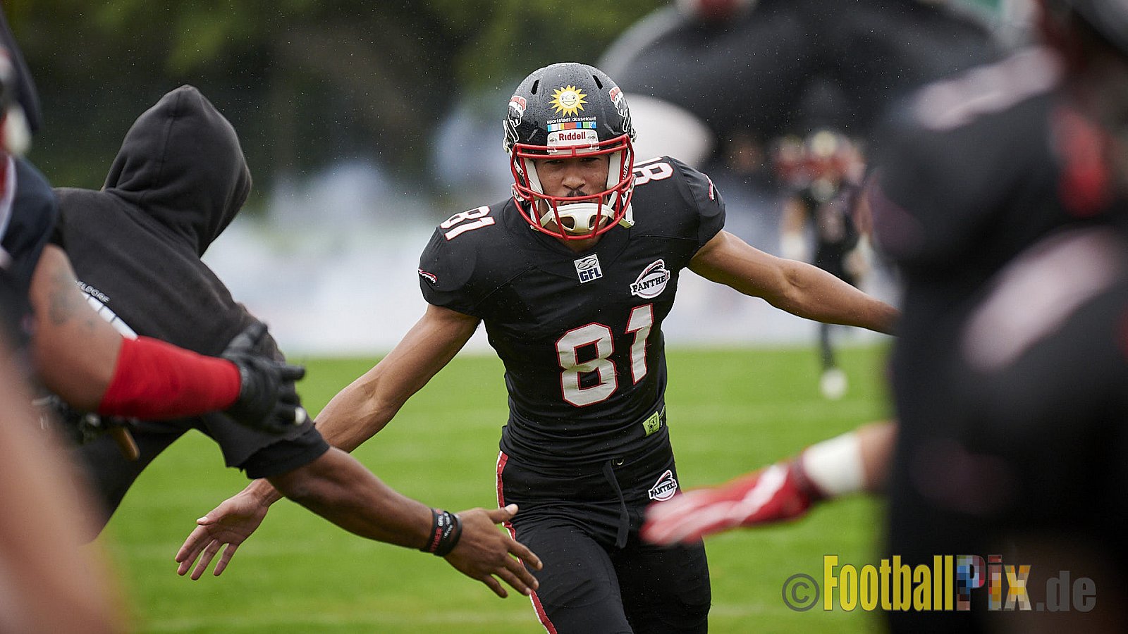 Düsseldorf Panther vs. Potsdam Royals - DPantherVsPotsdamRoyals