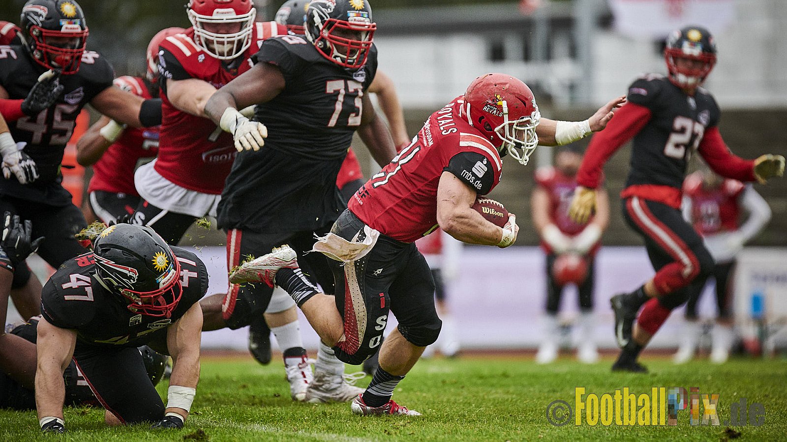 Düsseldorf Panther vs. Potsdam Royals - DPantherVsPotsdamRoyals