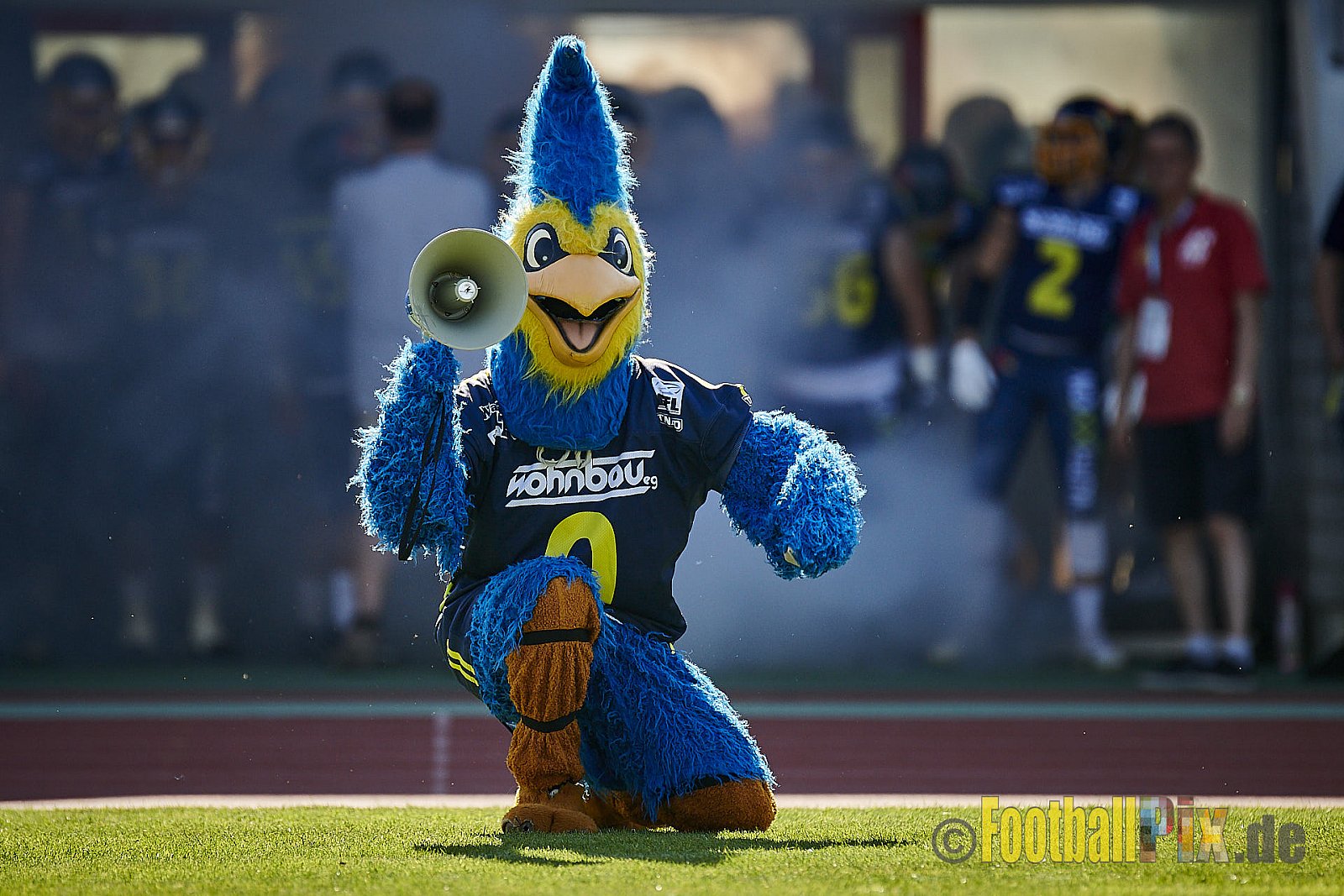 Essen Assindia Cardinals vs. Bielefeld Bulldogs - EssenAssindiaCardinalsVsBielefeldBulldogs
