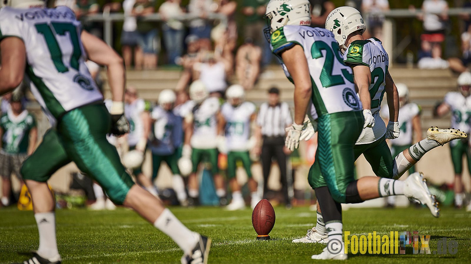 Essen Assindia Cardinals vs. Bielefeld Bulldogs - EssenAssindiaCardinalsVsBielefeldBulldogs