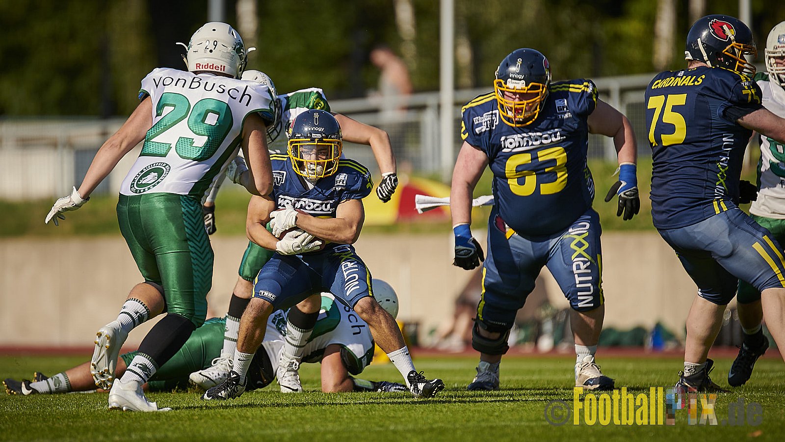 Essen Assindia Cardinals vs. Bielefeld Bulldogs - EssenAssindiaCardinalsVsBielefeldBulldogs