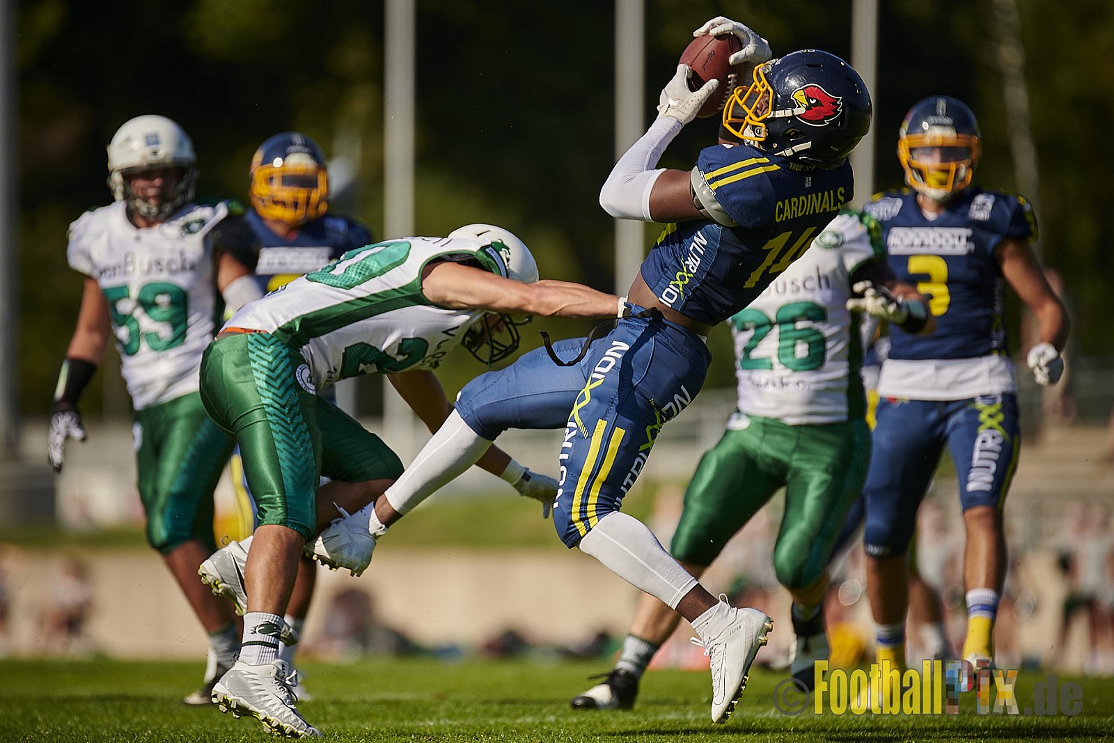 Essen Assindia Cardinals vs. Bielefeld Bulldogs - EssenAssindiaCardinalsVsBielefeldBulldogs