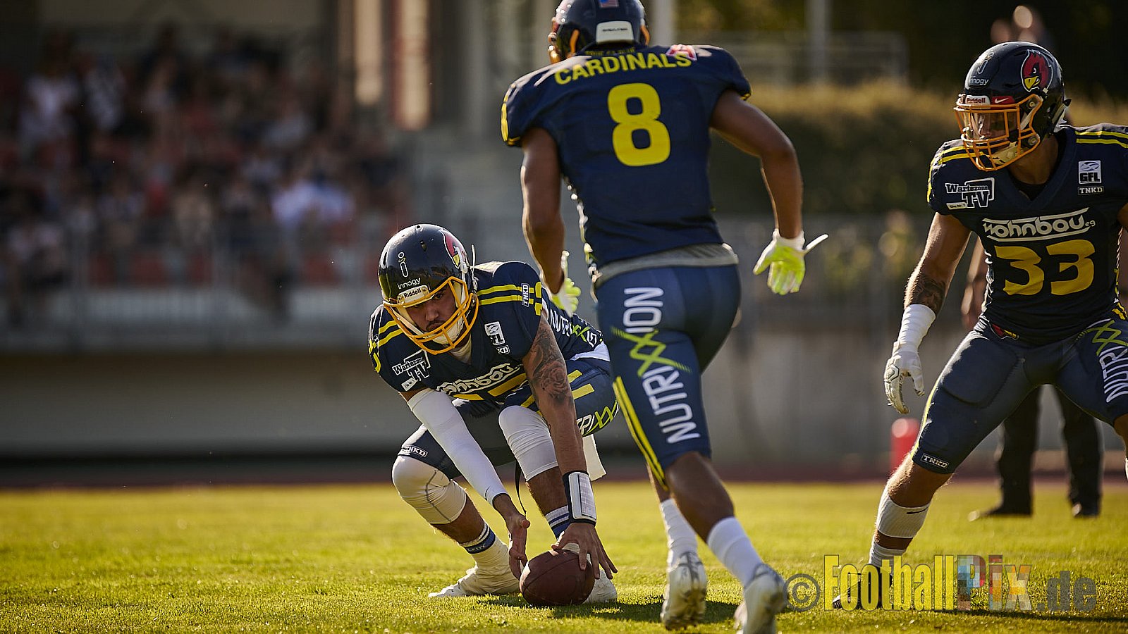 Essen Assindia Cardinals vs. Bielefeld Bulldogs - EssenAssindiaCardinalsVsBielefeldBulldogs