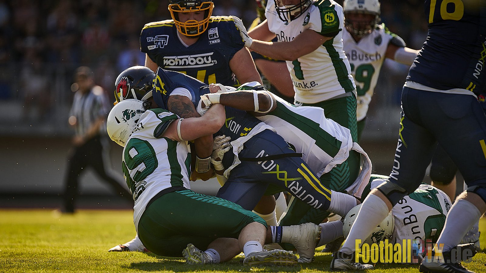 Essen Assindia Cardinals vs. Bielefeld Bulldogs - EssenAssindiaCardinalsVsBielefeldBulldogs