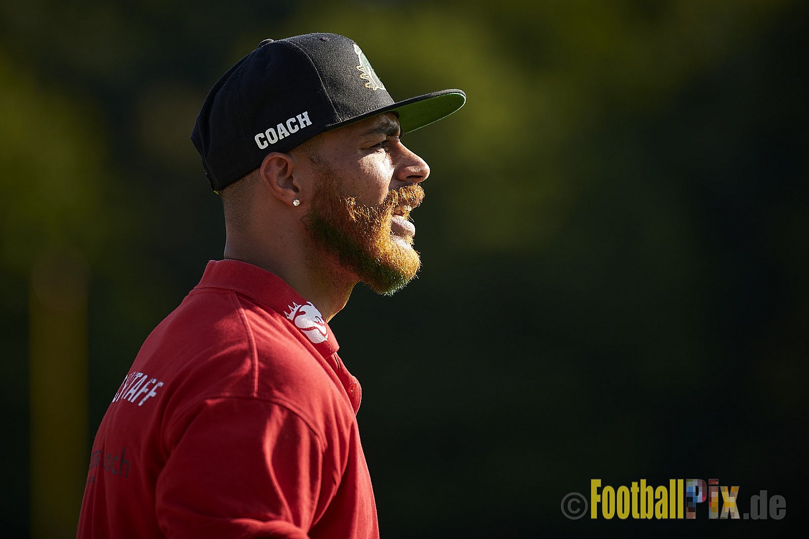 Essen Assindia Cardinals vs. Bielefeld Bulldogs - EssenAssindiaCardinalsVsBielefeldBulldogs