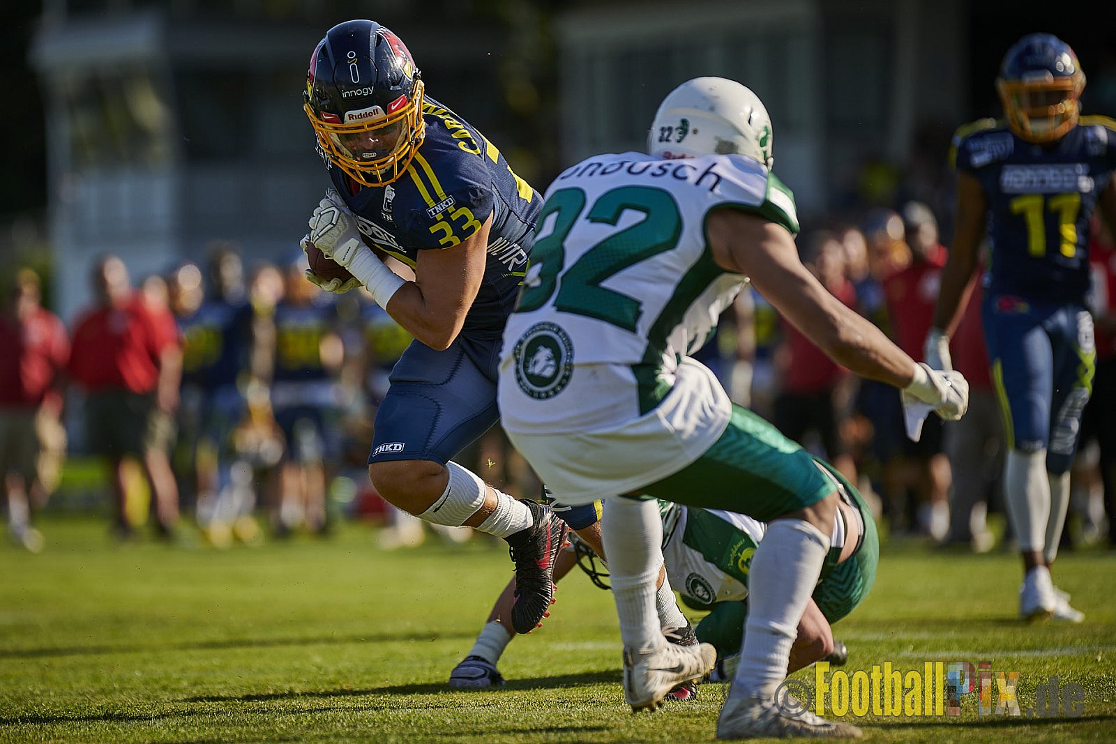 Essen Assindia Cardinals vs. Bielefeld Bulldogs - EssenAssindiaCardinalsVsBielefeldBulldogs