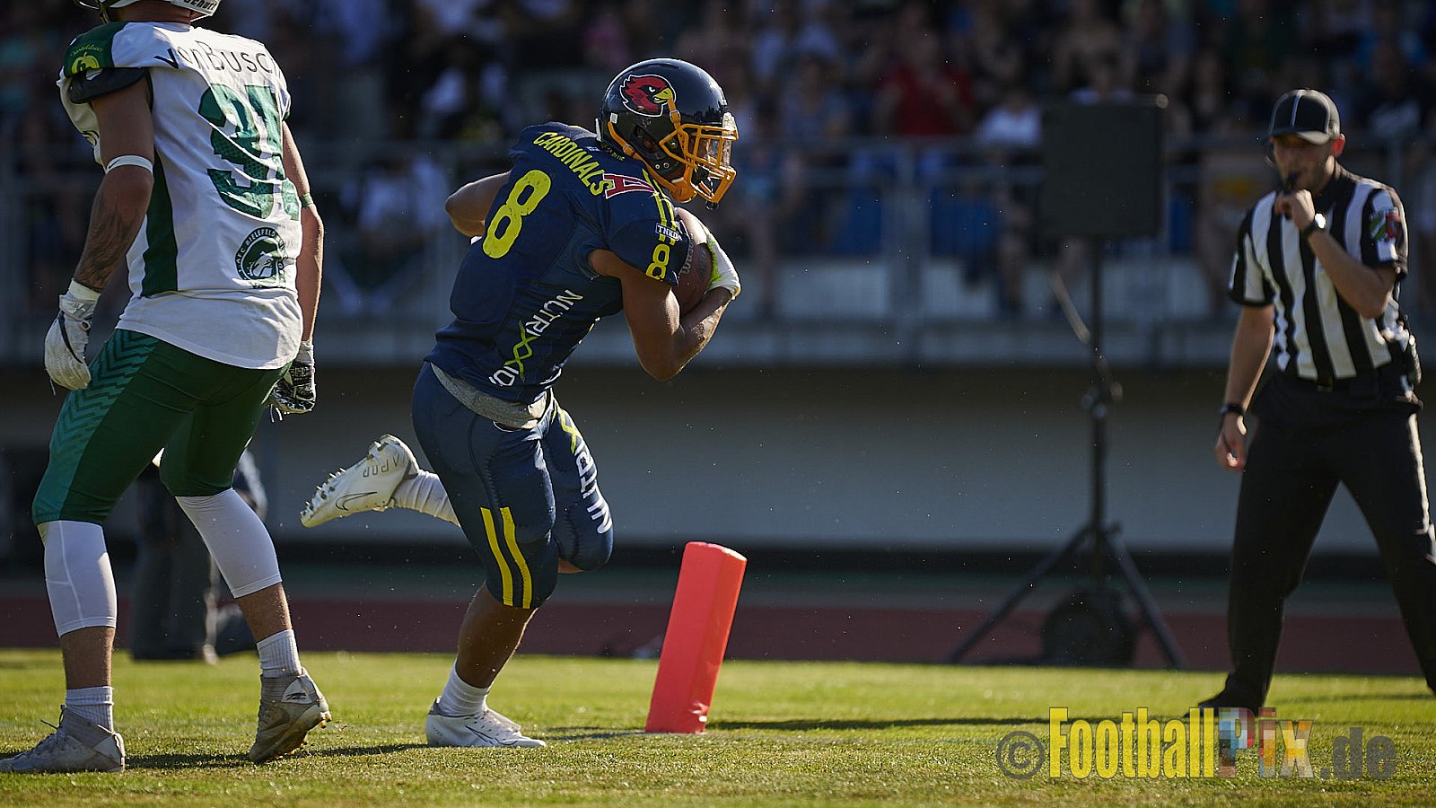 Essen Assindia Cardinals vs. Bielefeld Bulldogs - EssenAssindiaCardinalsVsBielefeldBulldogs