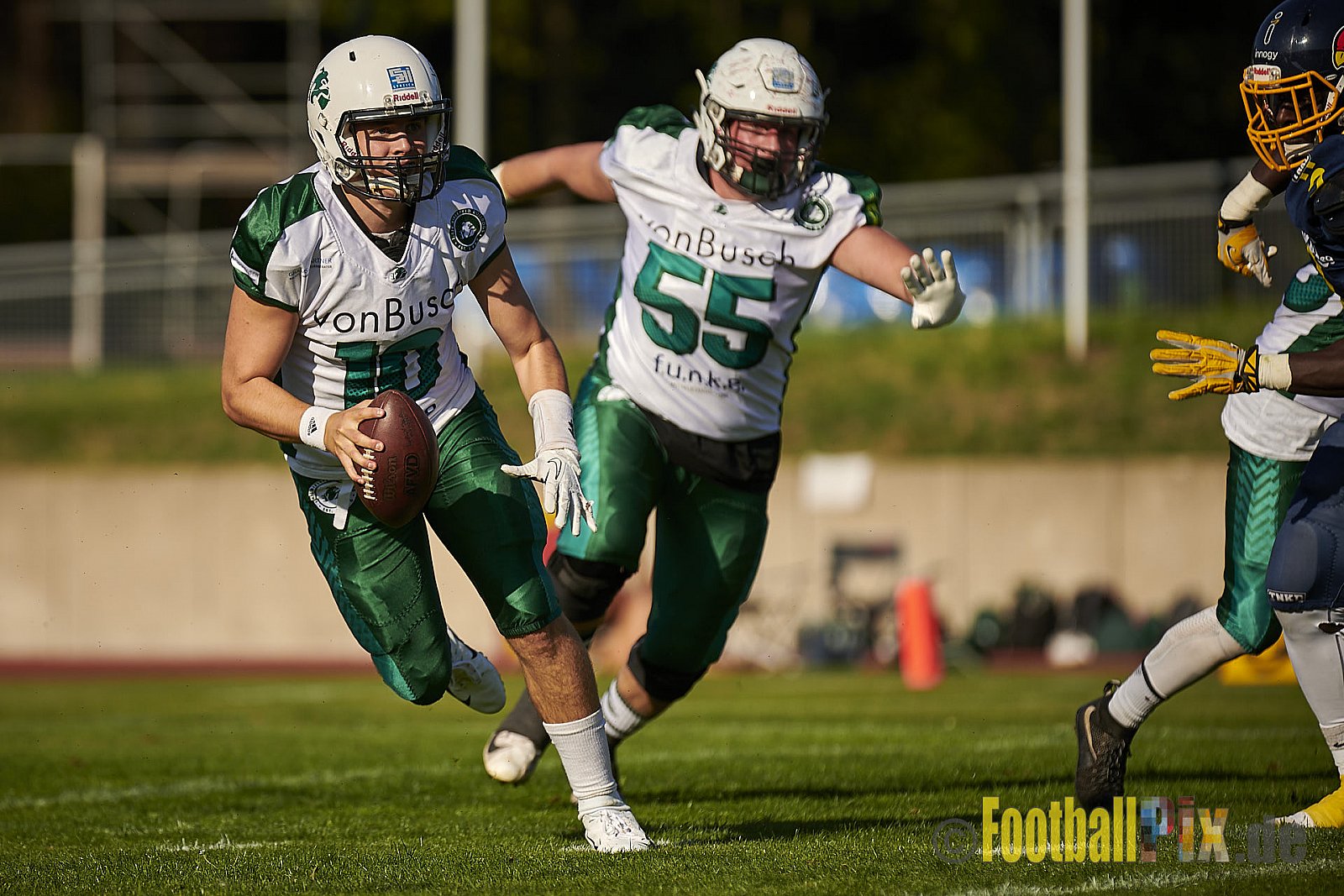 Essen Assindia Cardinals vs. Bielefeld Bulldogs - EssenAssindiaCardinalsVsBielefeldBulldogs