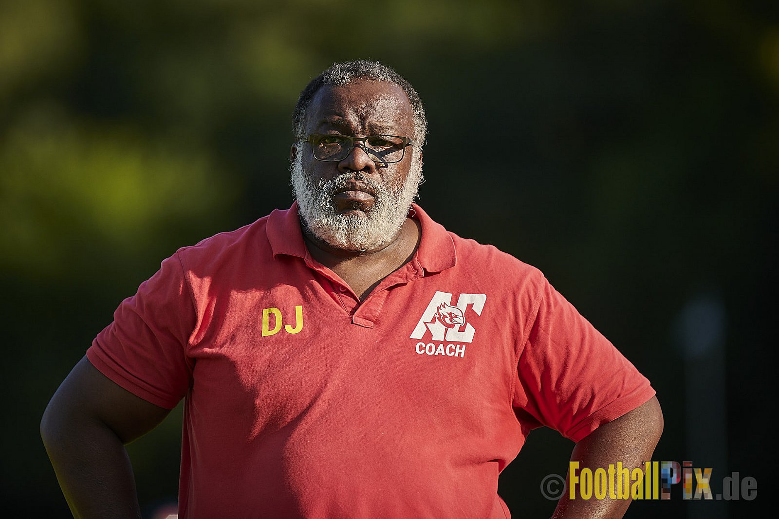 Essen Assindia Cardinals vs. Bielefeld Bulldogs - EssenAssindiaCardinalsVsBielefeldBulldogs