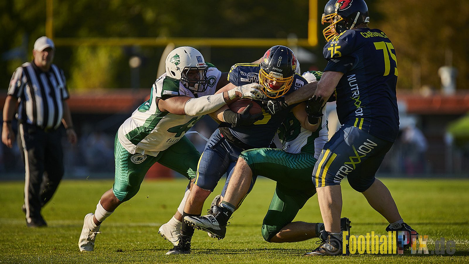 Essen Assindia Cardinals vs. Bielefeld Bulldogs - EssenAssindiaCardinalsVsBielefeldBulldogs