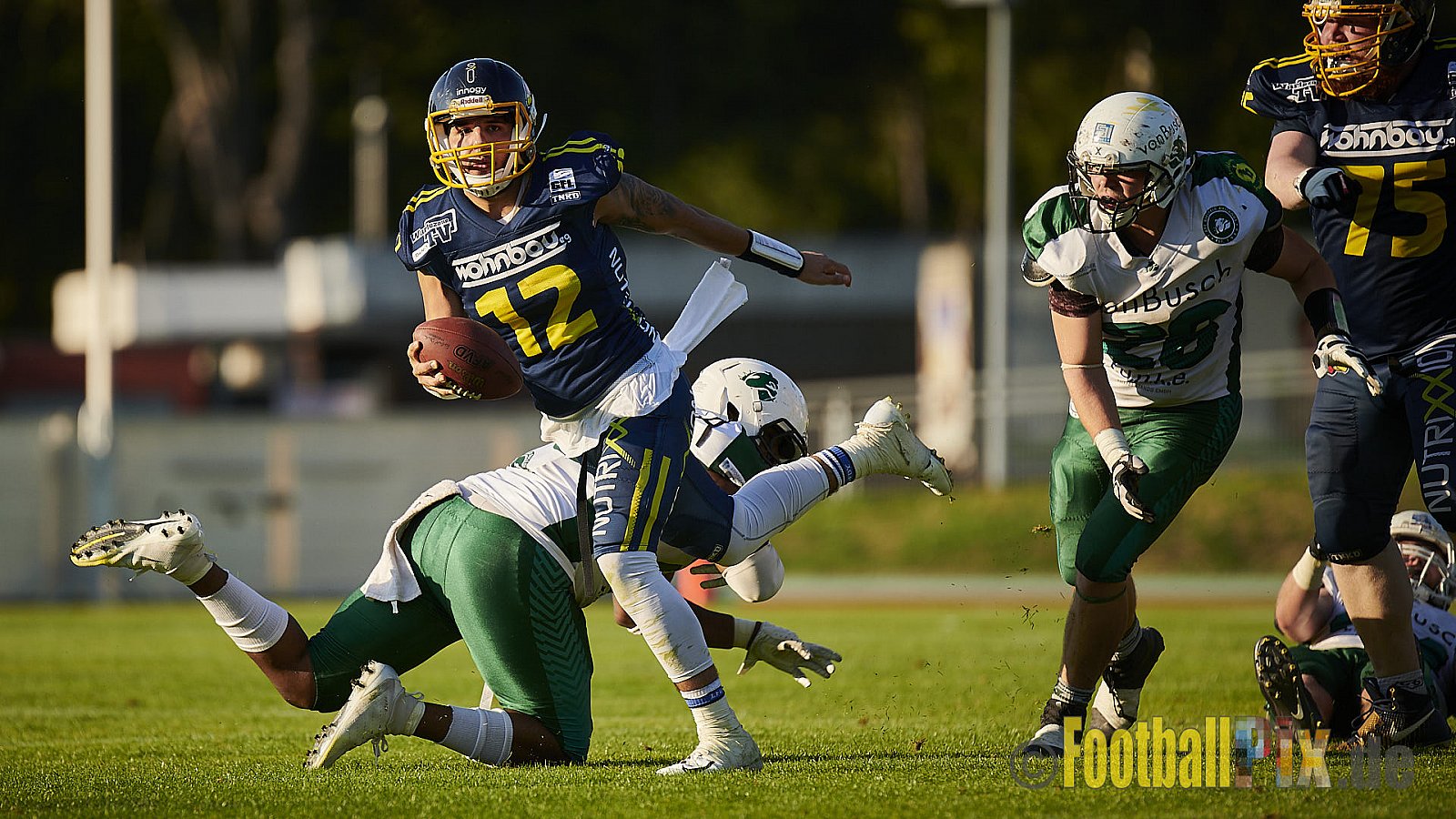 Essen Assindia Cardinals vs. Bielefeld Bulldogs - EssenAssindiaCardinalsVsBielefeldBulldogs