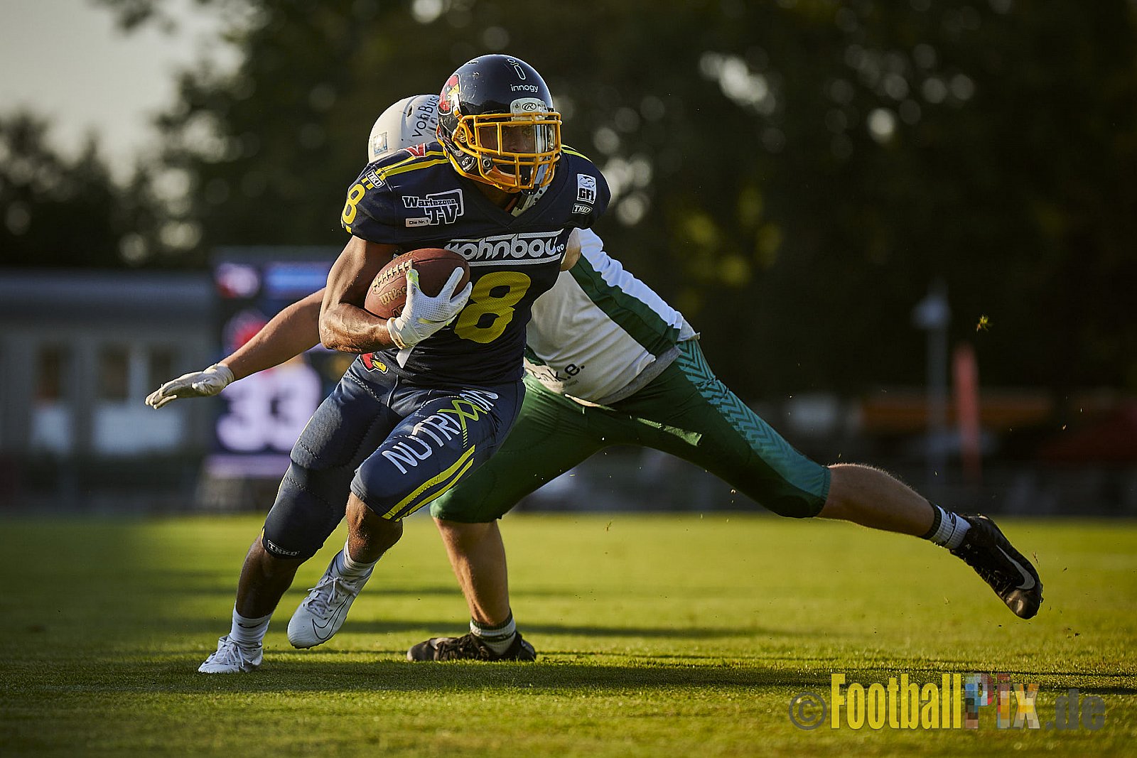 Essen Assindia Cardinals vs. Bielefeld Bulldogs - EssenAssindiaCardinalsVsBielefeldBulldogs
