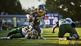 Essen Assindia Cardinals vs. Bielefeld Bulldogs - EssenAssindiaCardinalsVsBielefeldBulldogs