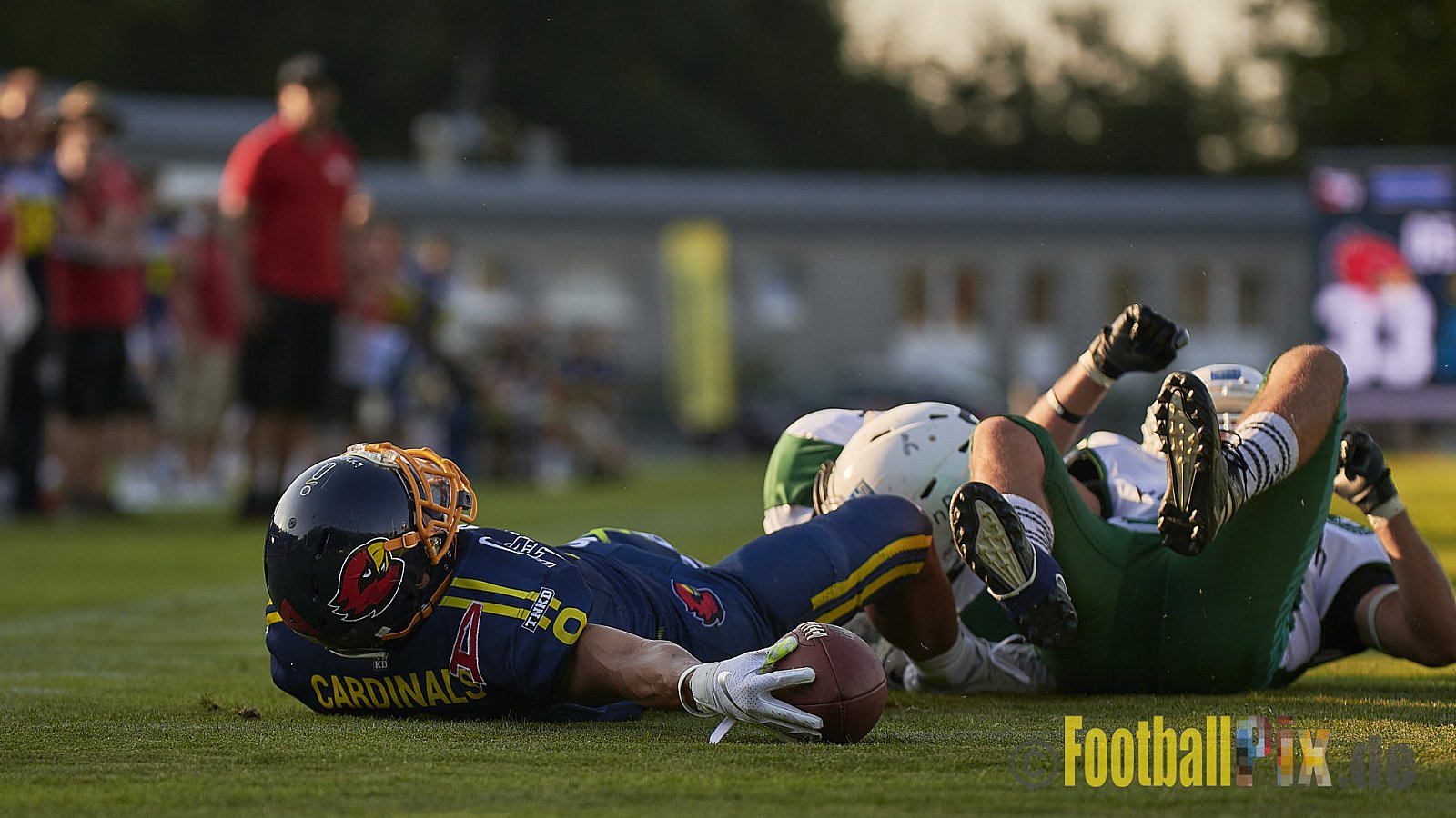 Essen Assindia Cardinals vs. Bielefeld Bulldogs - EssenAssindiaCardinalsVsBielefeldBulldogs