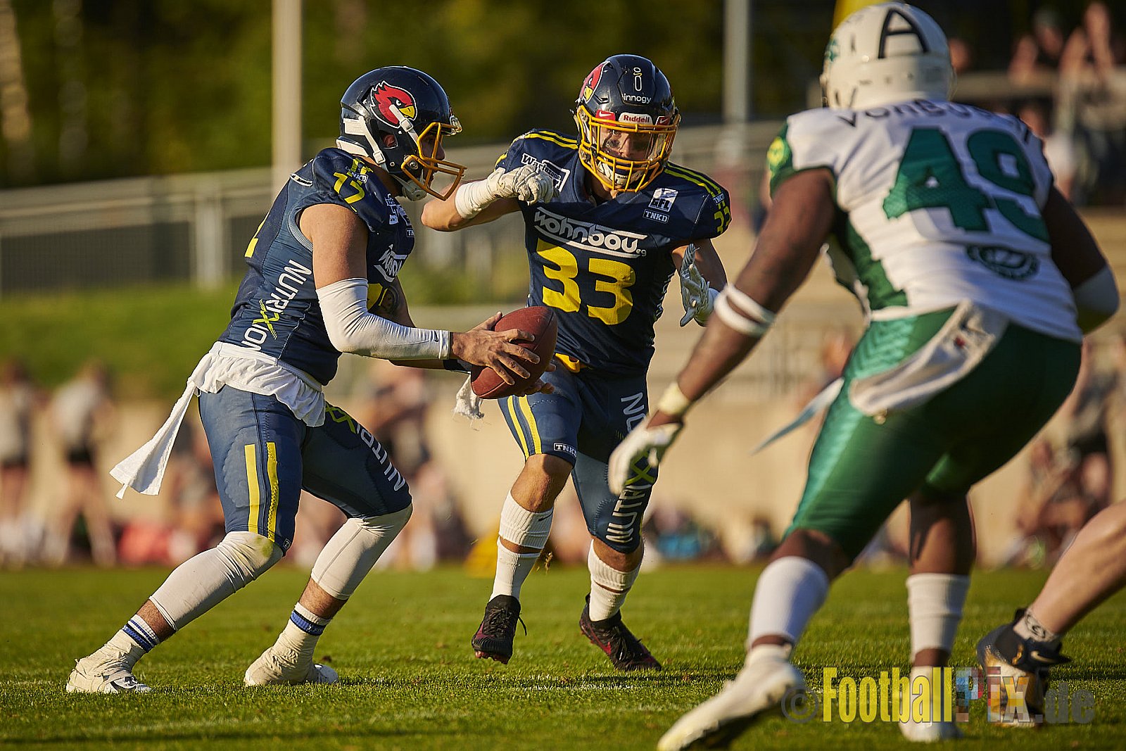 Essen Assindia Cardinals vs. Bielefeld Bulldogs - EssenAssindiaCardinalsVsBielefeldBulldogs