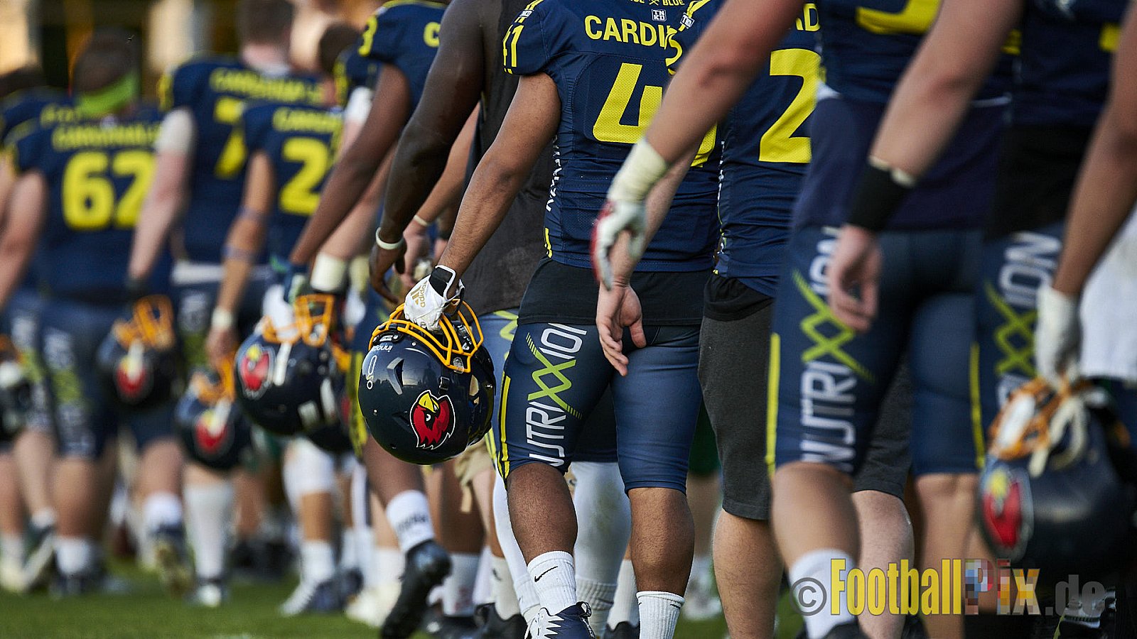 Essen Assindia Cardinals vs. Bielefeld Bulldogs - EssenAssindiaCardinalsVsBielefeldBulldogs