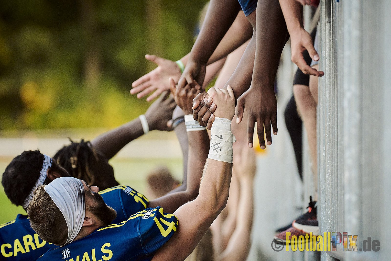 Essen Assindia Cardinals vs. Bielefeld Bulldogs - EssenAssindiaCardinalsVsBielefeldBulldogs