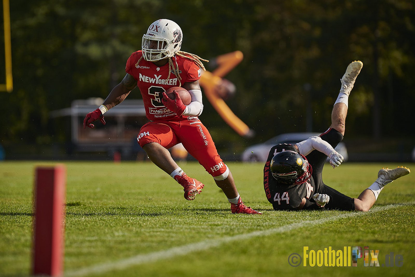 Düsseldorf Panther vs. New Yorker Lions - DPantherVsNewYorkerLions