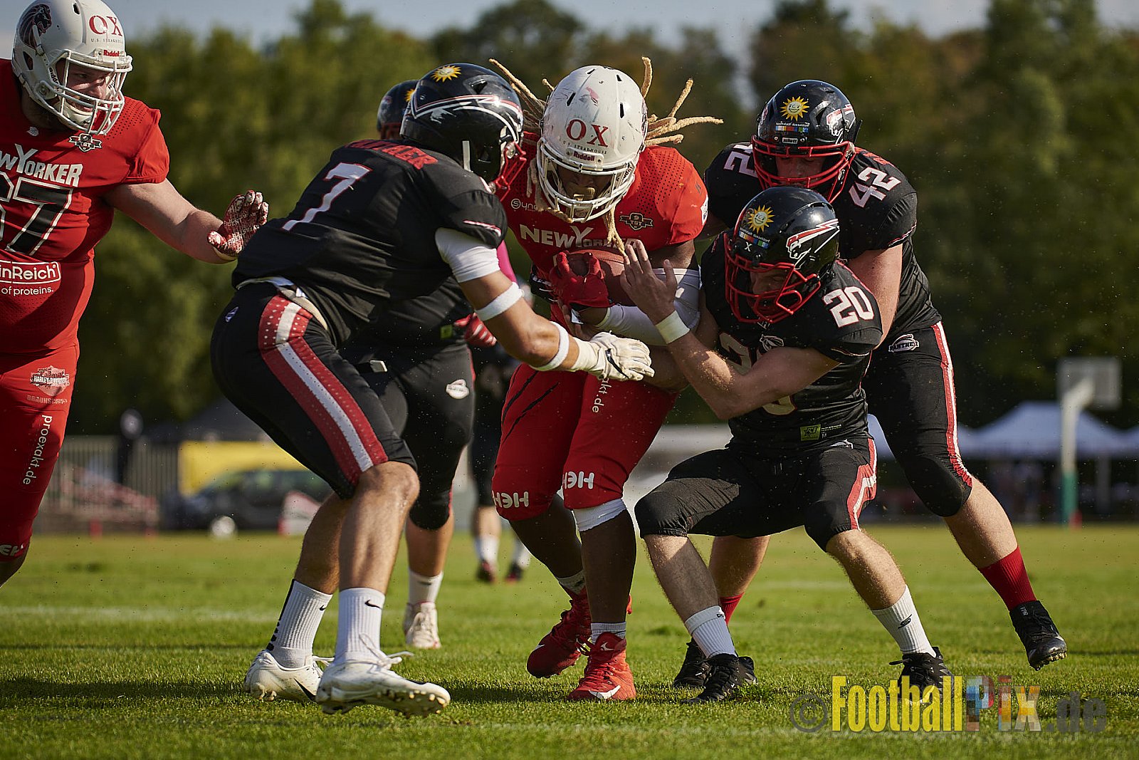 Düsseldorf Panther vs. New Yorker Lions - DPantherVsNewYorkerLions