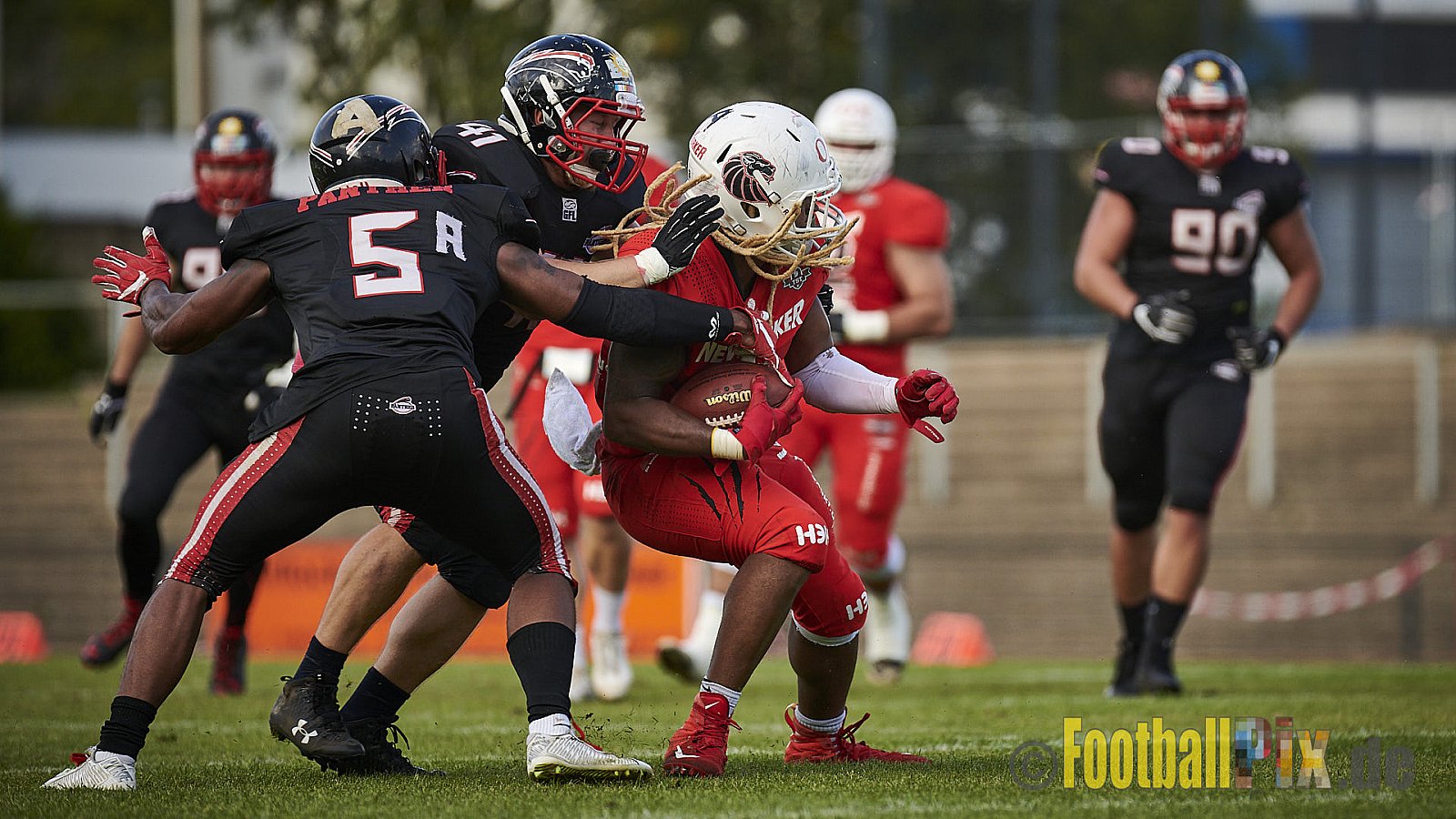 Düsseldorf Panther vs. New Yorker Lions - DPantherVsNewYorkerLions