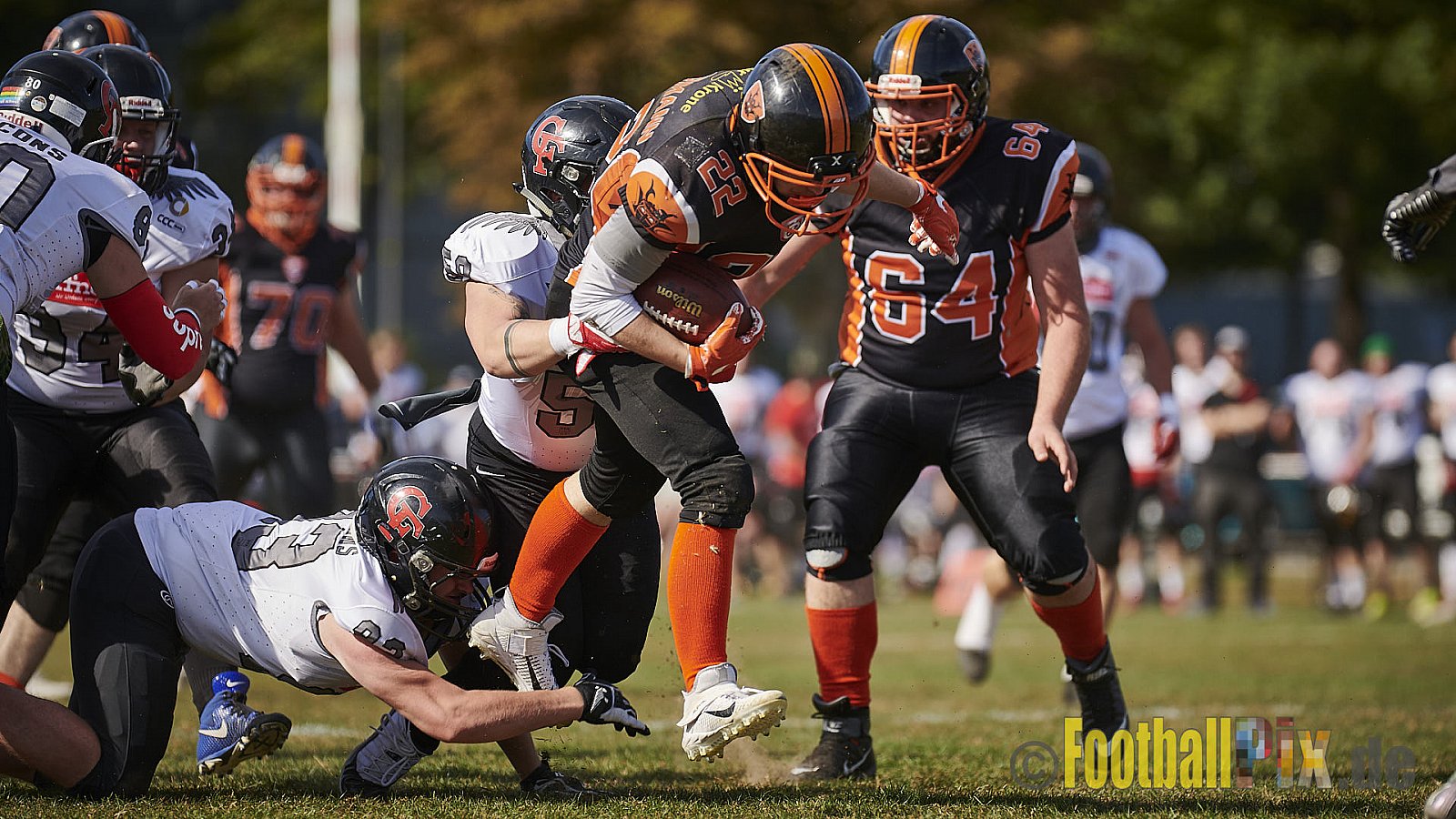 Cologne Falcons Prospects vs. Cologne Ronin - CologneFalconsProspectsVsCologneRonin