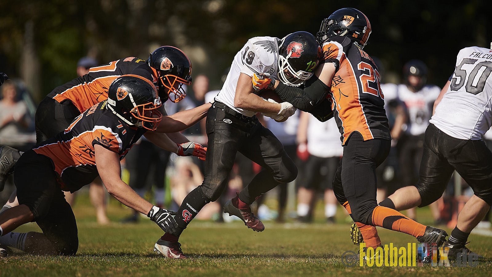 Cologne Falcons Prospects vs. Cologne Ronin - CologneFalconsProspectsVsCologneRonin