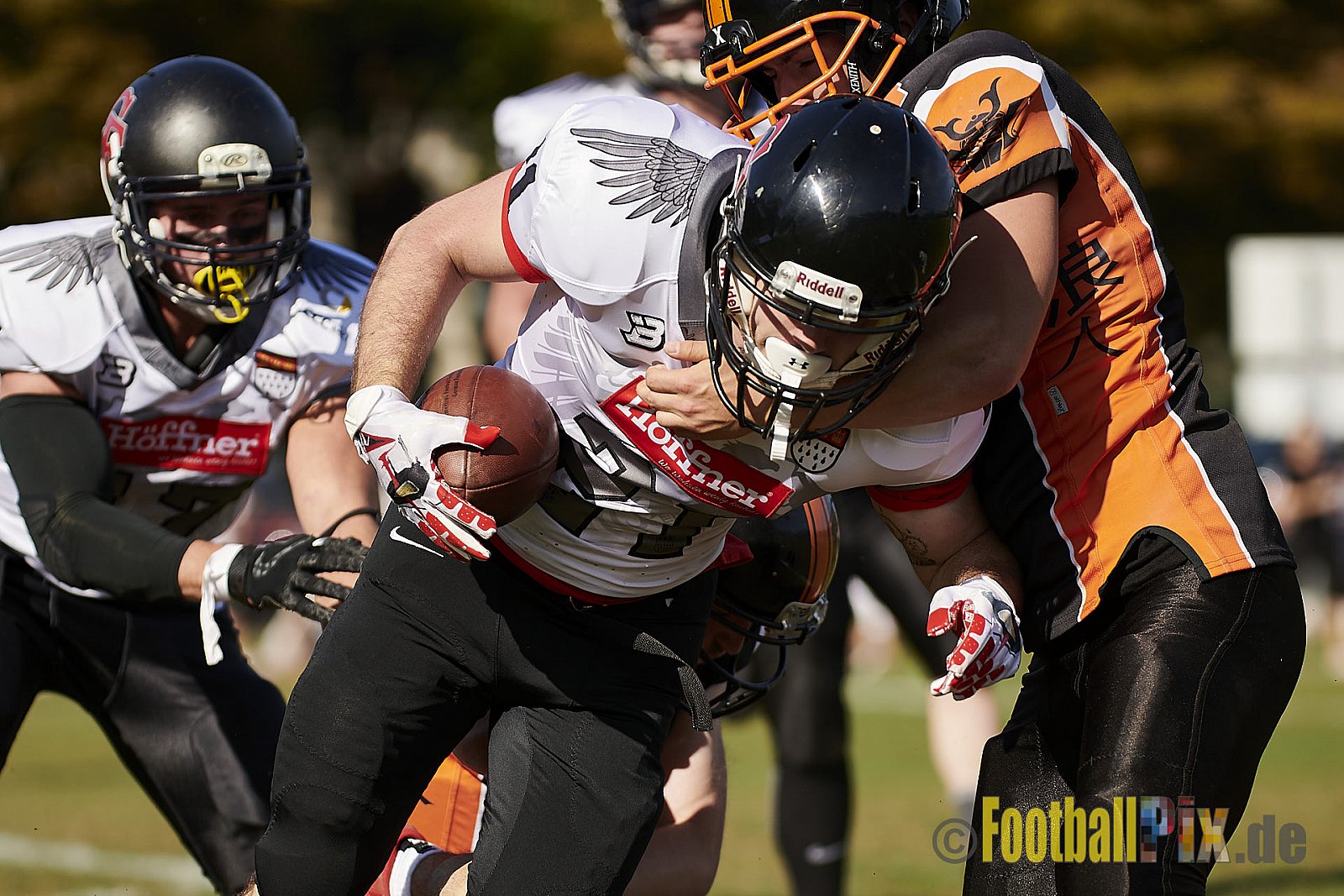 Cologne Falcons Prospects vs. Cologne Ronin - CologneFalconsProspectsVsCologneRonin