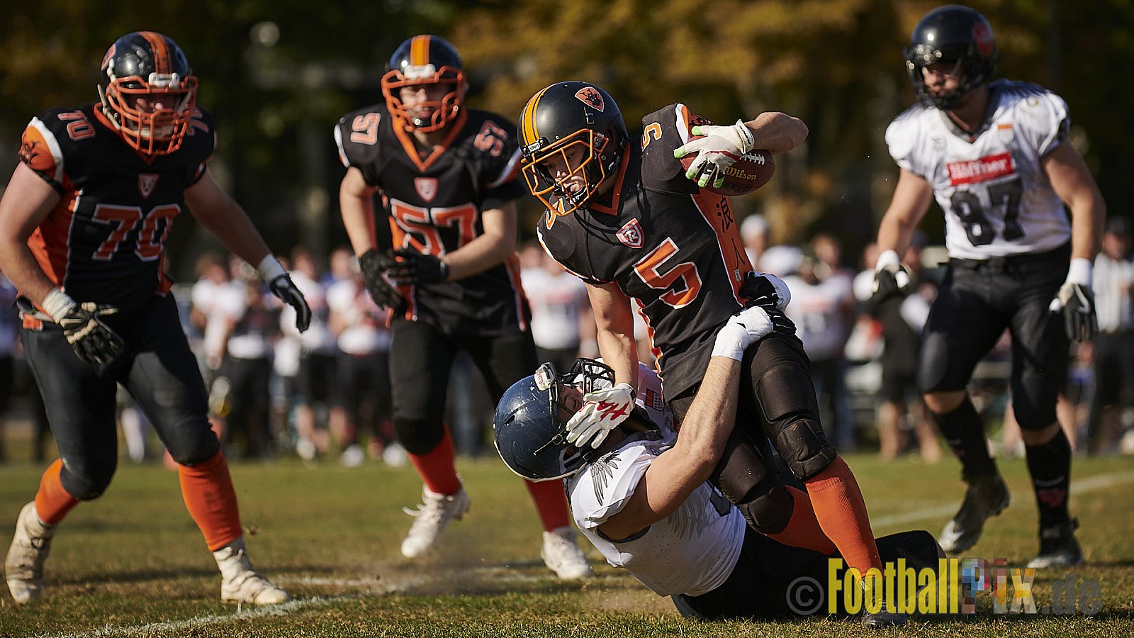 Cologne Falcons Prospects vs. Cologne Ronin - CologneFalconsProspectsVsCologneRonin