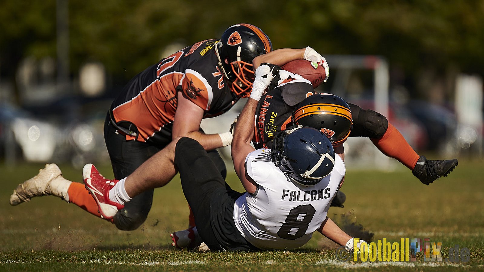 Cologne Falcons Prospects vs. Cologne Ronin - CologneFalconsProspectsVsCologneRonin