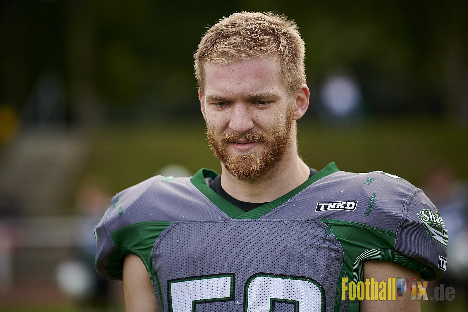 Mülheim Shamrocks vs. Mönchengladbach Wolfpack - MhShamrocksVsMgWolfpack