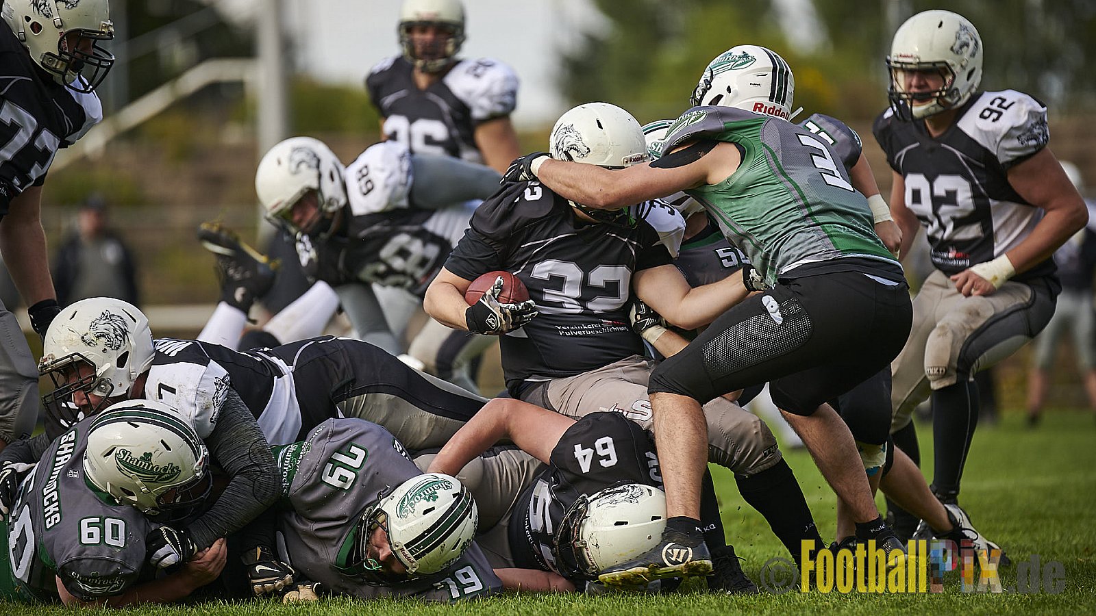 Mülheim Shamrocks vs. Mönchengladbach Wolfpack - MhShamrocksVsMgWolfpack