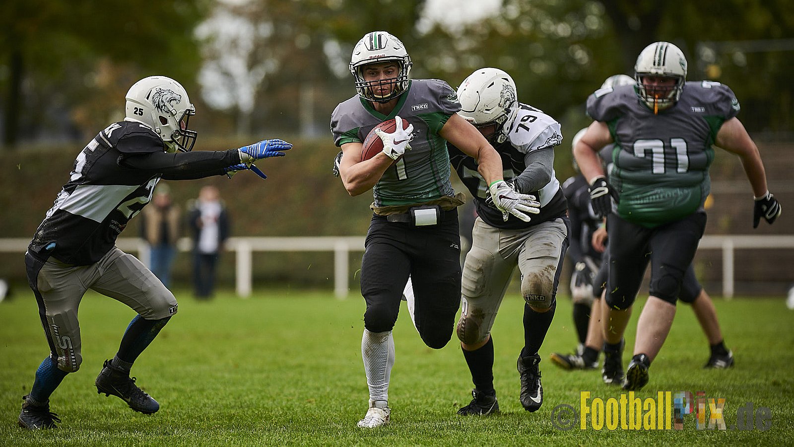Mülheim Shamrocks vs. Mönchengladbach Wolfpack - MhShamrocksVsMgWolfpack