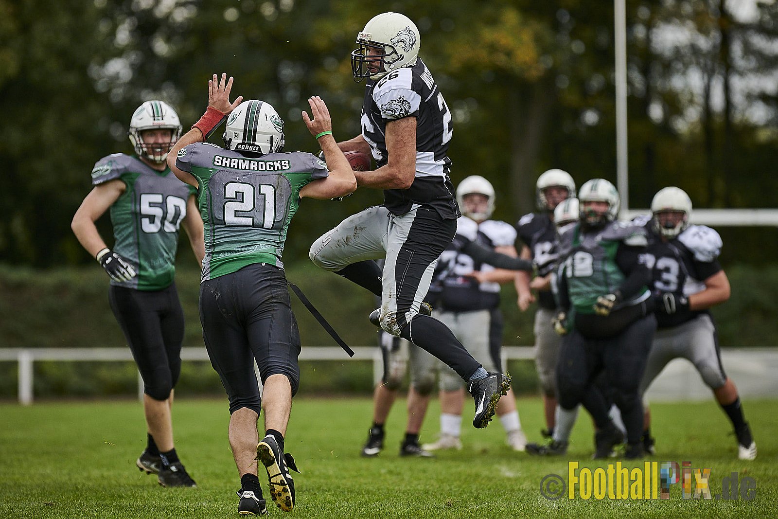 Mülheim Shamrocks vs. Mönchengladbach Wolfpack - MhShamrocksVsMgWolfpack